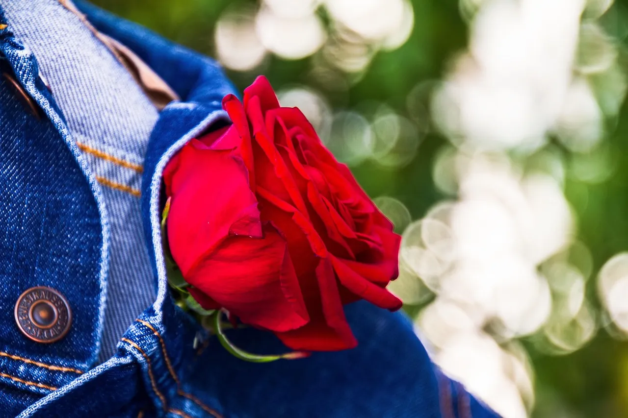 JEAN JACKETS